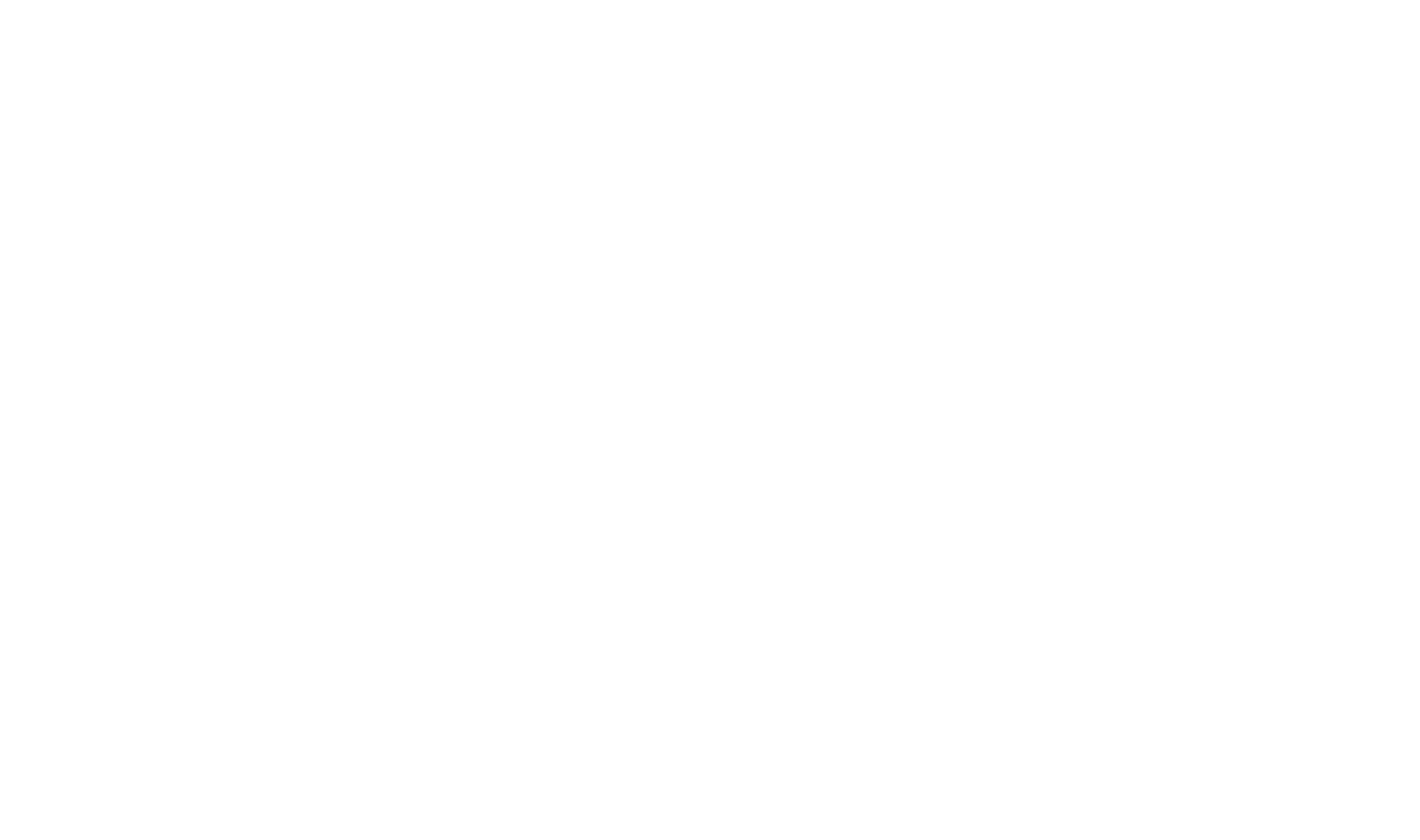 Fayt - White Logo